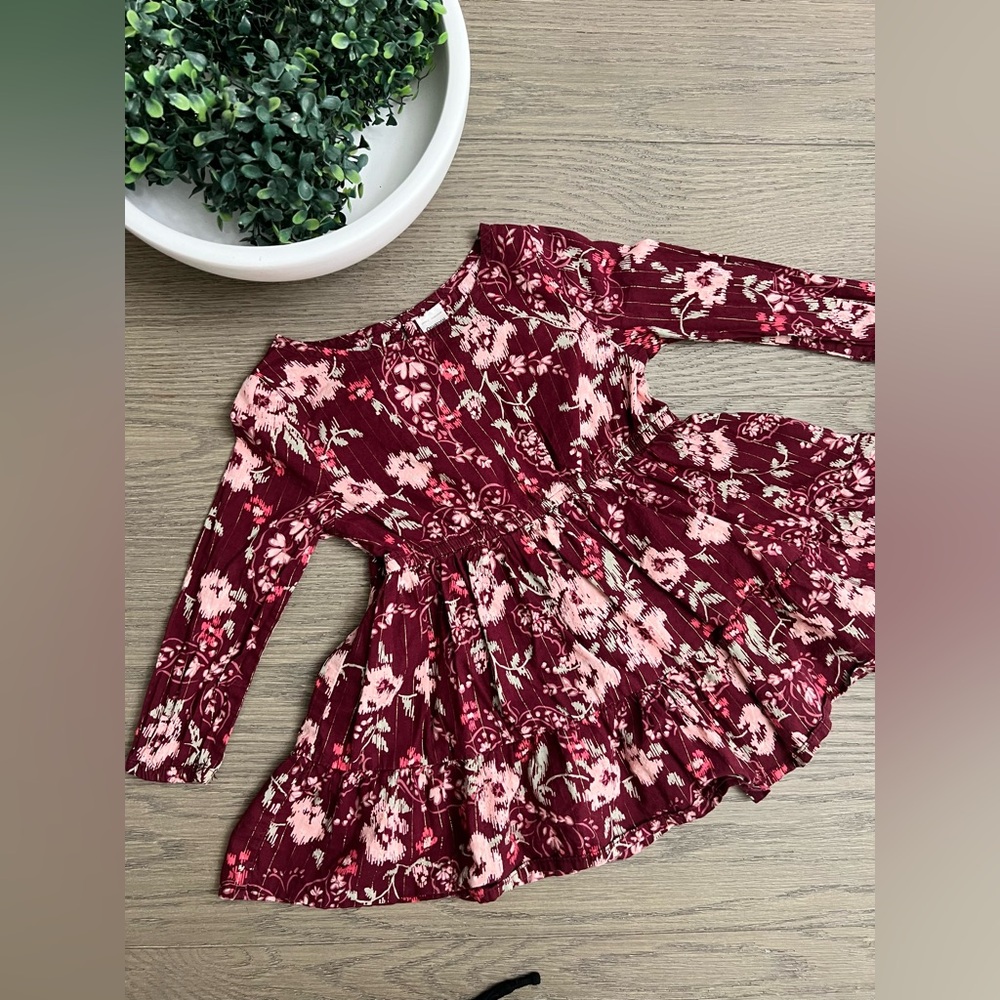 OshKosh 2T Fall Floral Dress